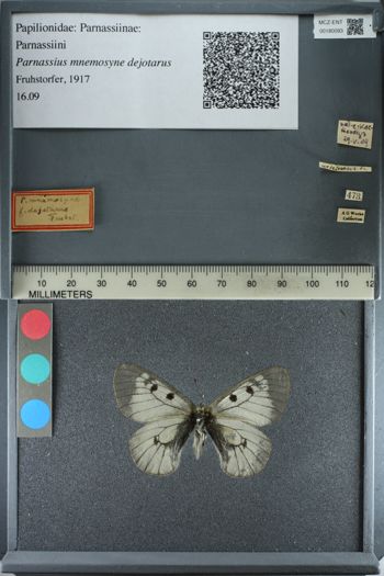 Media type: image;   Entomology 180093